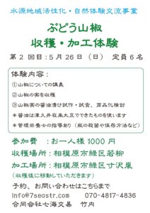 山椒　収穫・加工体験<br>第２回　５月２６日（日）