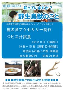 野生動物の命を余すことなくいただこう<br>（鹿の角アクセサリーづくり体験・ジビエ試食）