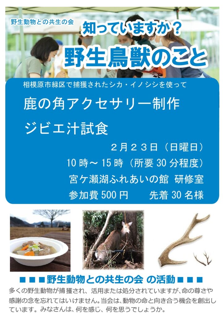 野生動物の命を余すことなくいただこう<br>（鹿の角アクセサリーづくり体験・ジビエ試食）